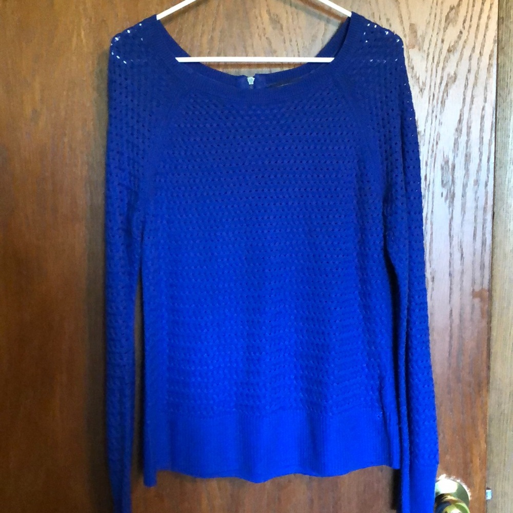 Blue Sweater